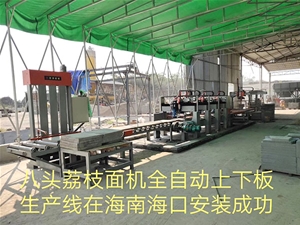 八頭荔枝面機全自動上下板生產線在海南海口安裝成功